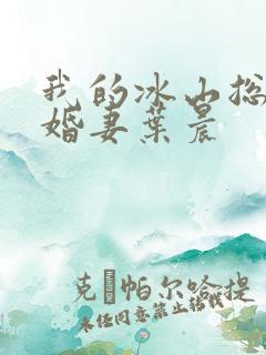 我的冰山总裁未婚妻叶晨