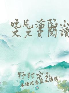 晚风沦陷小说全文免费阅读笔趣阁