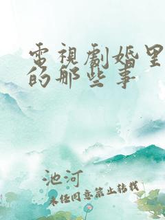 电视剧婚里婚外的那些事