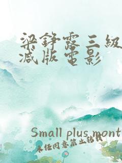 梁铮露三级未删减版电影