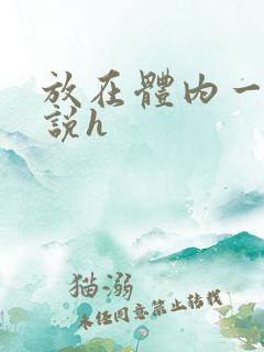 放在体内一夜小说h