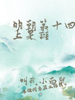 明朝第十四代皇上是谁