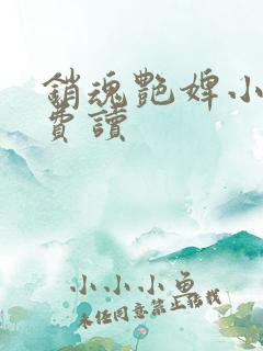 销魂艳婢小说免费读
