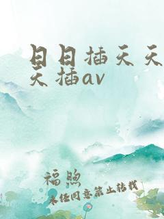 日日插天天操天天插av
