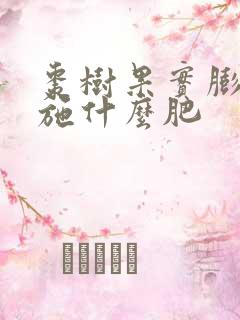 枣树果实膨大期施什么肥