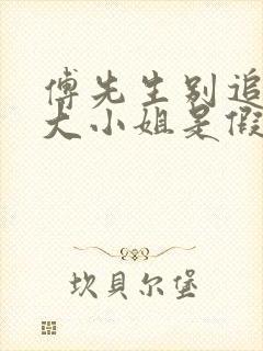 傅先生别追了,大小姐是假的免费