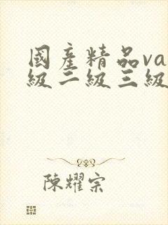 国产精品va一级二级三级