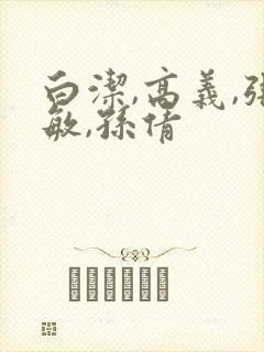 白洁,高义,张敏,孙倩