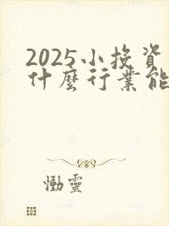 2025小投资什么行业能赚到钱