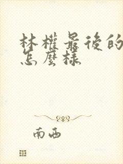 林权最后的结局怎么样
