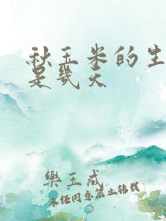 秋玉米的生长期是几天