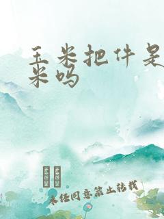 玉米把件是真玉米吗