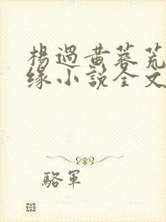 杨过黄蓉荒岛情缘小说全文
