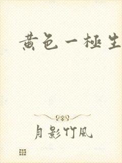 黄色一极生活片