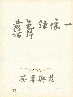 黄色录像一级生活片