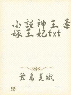 小说神王毒宠二嫁王妃txt