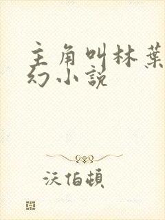 主角叫林叶的玄幻小说