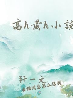 高h黄h小说