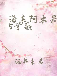 海来阿木最火的5首歌