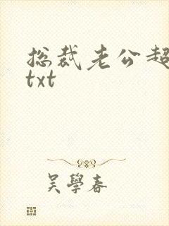 总裁老公超棒的txt