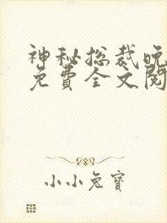 神秘总裁晚上见免费全文阅读