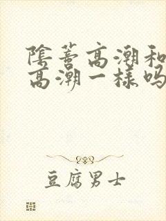 阴蒂高潮和阴道高潮一样吗?