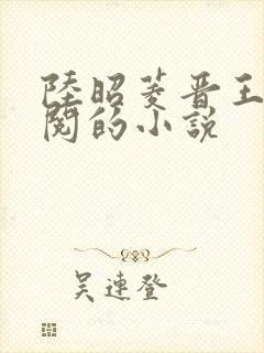 陆昭菱晋王周时阅的小说