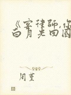 《宴律师,你的白月光回国了》