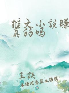 推文小说赚钱是真的吗