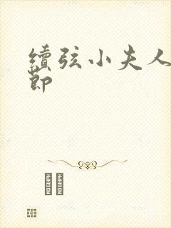续弦小夫人新章节