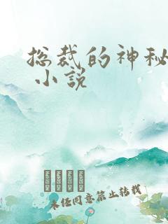 总裁的神秘甜妻 小说