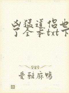 凶猛道侣也重生了全本txt下载