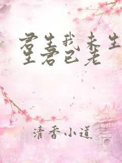 君生我未生,我生君已老