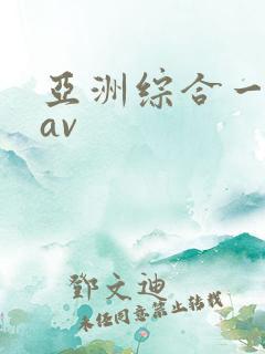 亚洲综合一区二av