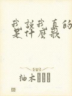我说我真的爱你是什么歌