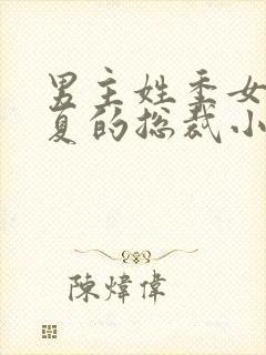 男主姓季女主姓夏的总裁小说