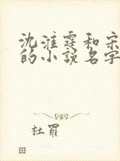 沈淮霆和宋思予的小说名字