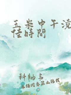 玉米中午浇水最佳时间