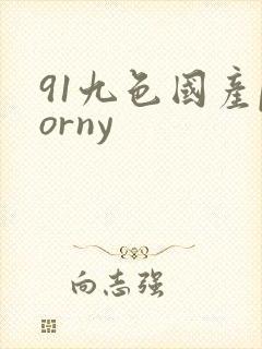 91九色国产porny