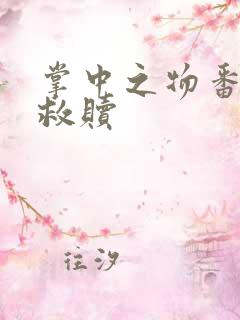 掌中之物番外篇救赎