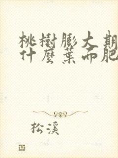 桃树膨大期应施什么叶面肥