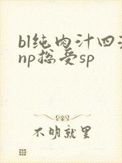 bl纯肉汁四溅np总受sp