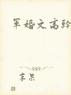 军婚文高干文 军婚文高干文