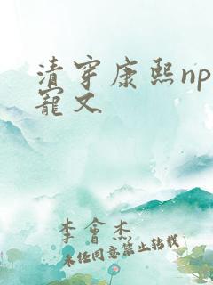 清穿康熙np肉宠文