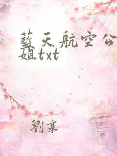 蓝天航空公司空姐txt