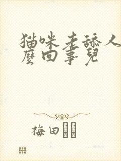 猫咪老舔人是怎么回事儿