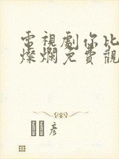 电视剧你比星光灿烂免费观看