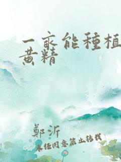 一亩能种植多少黄精
