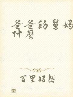 爸爸的舅妈我叫什么