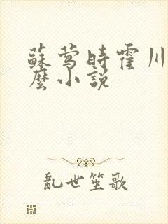 苏莺时霍川是什么小说